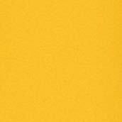 Alpine Yellow